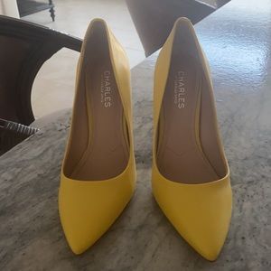 charles david shoes dsw